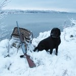 Hunting weather is not always kind to firearms